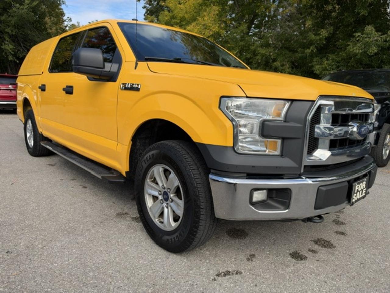 2016 Ford F-150 4WD SUPERCREW 145" XLT CREW CAB CAB Photo