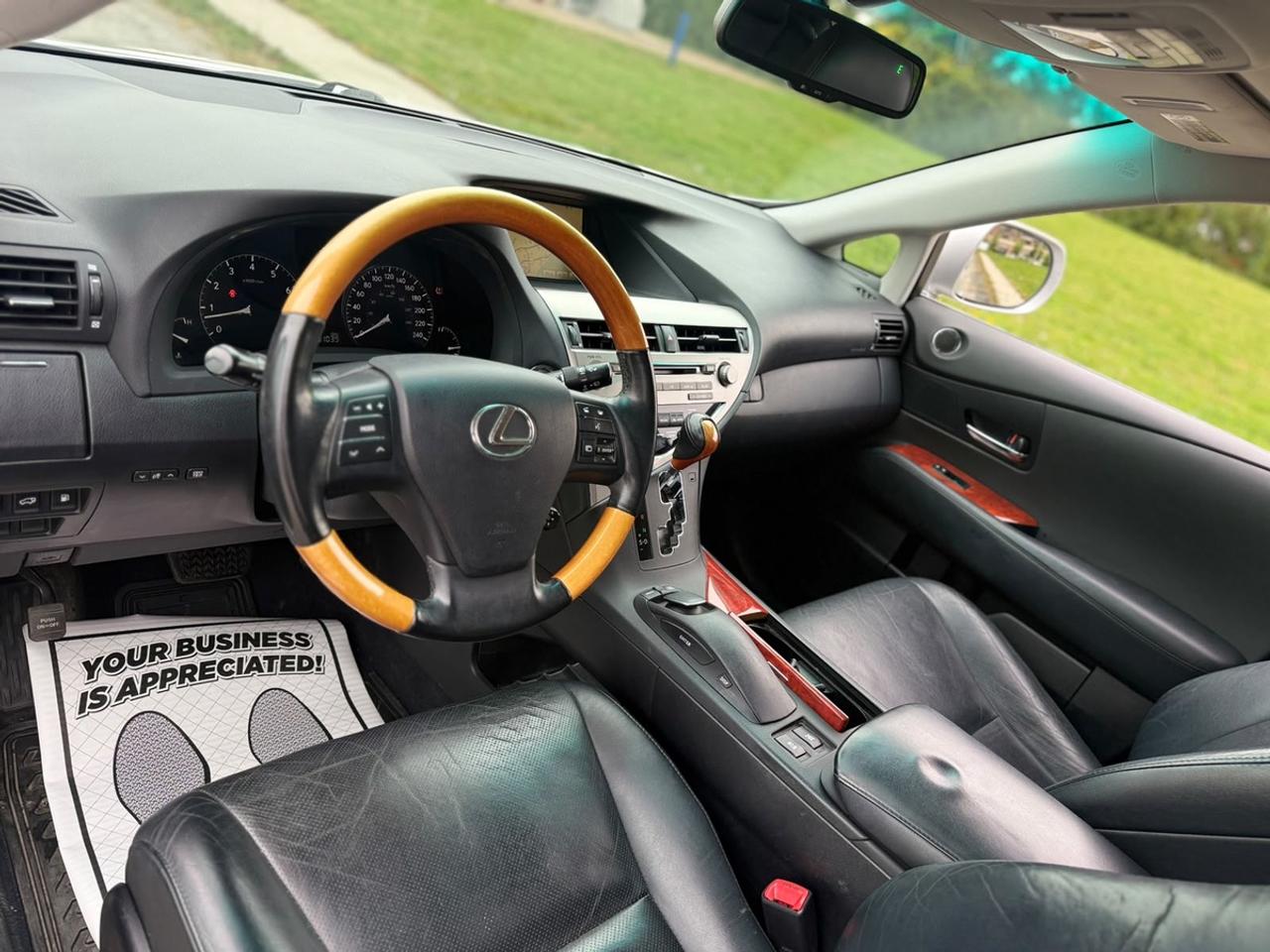 2010 Lexus RX 350 Photo