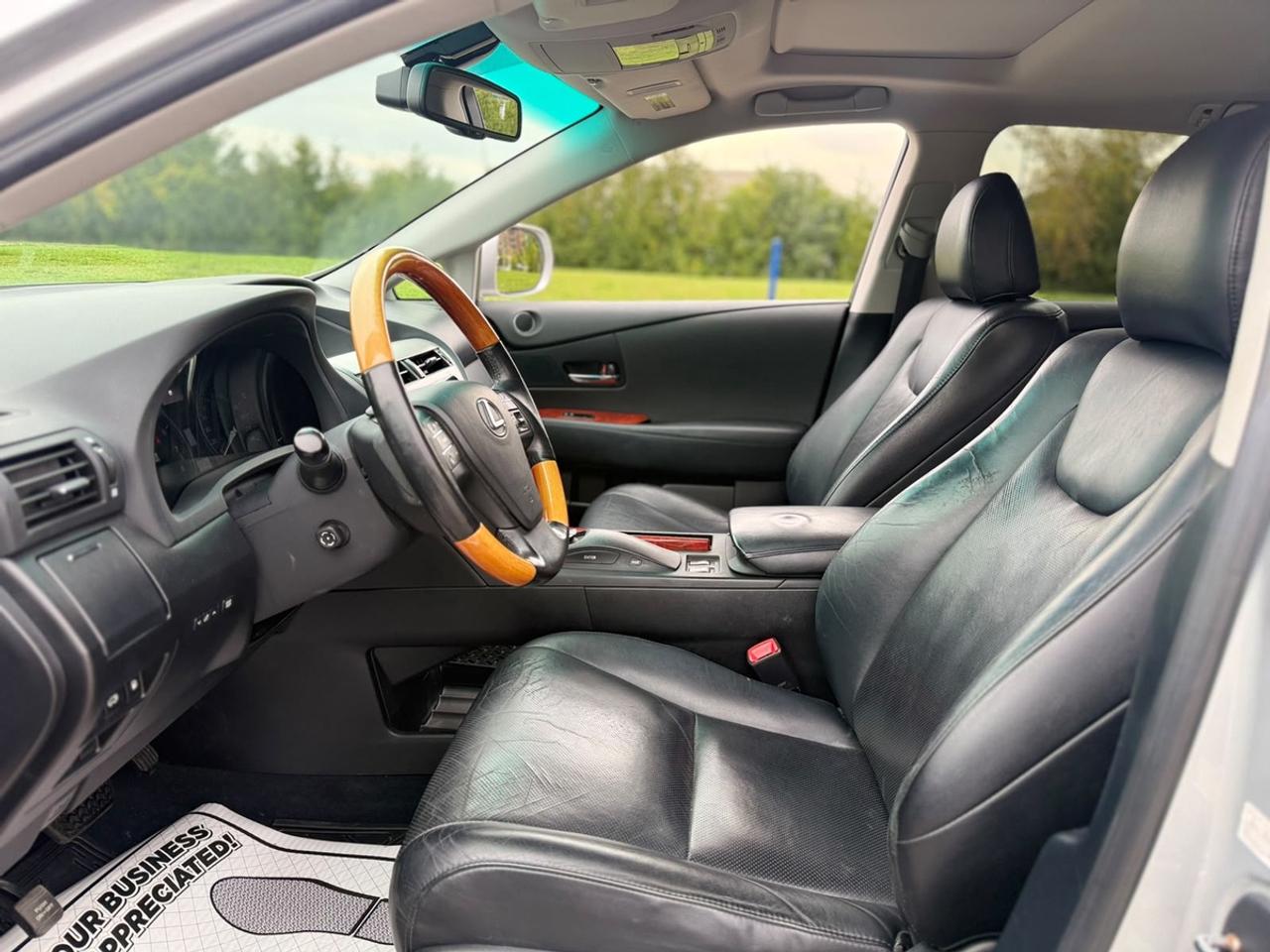 2010 Lexus RX 350 Photo