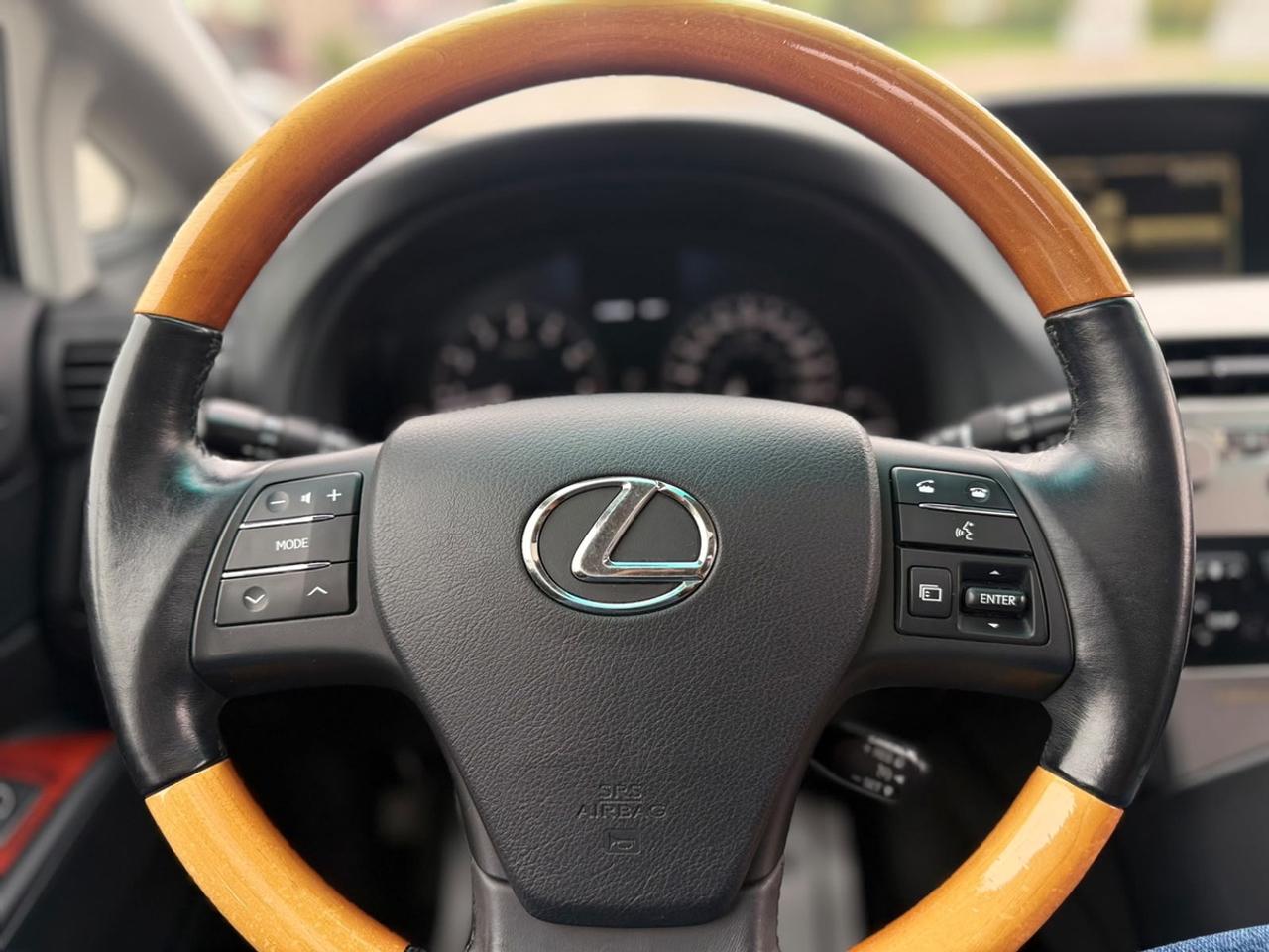 2010 Lexus RX 350 Photo