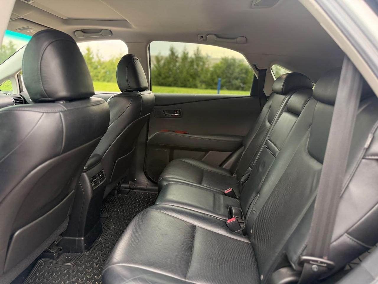 2010 Lexus RX 350 Photo