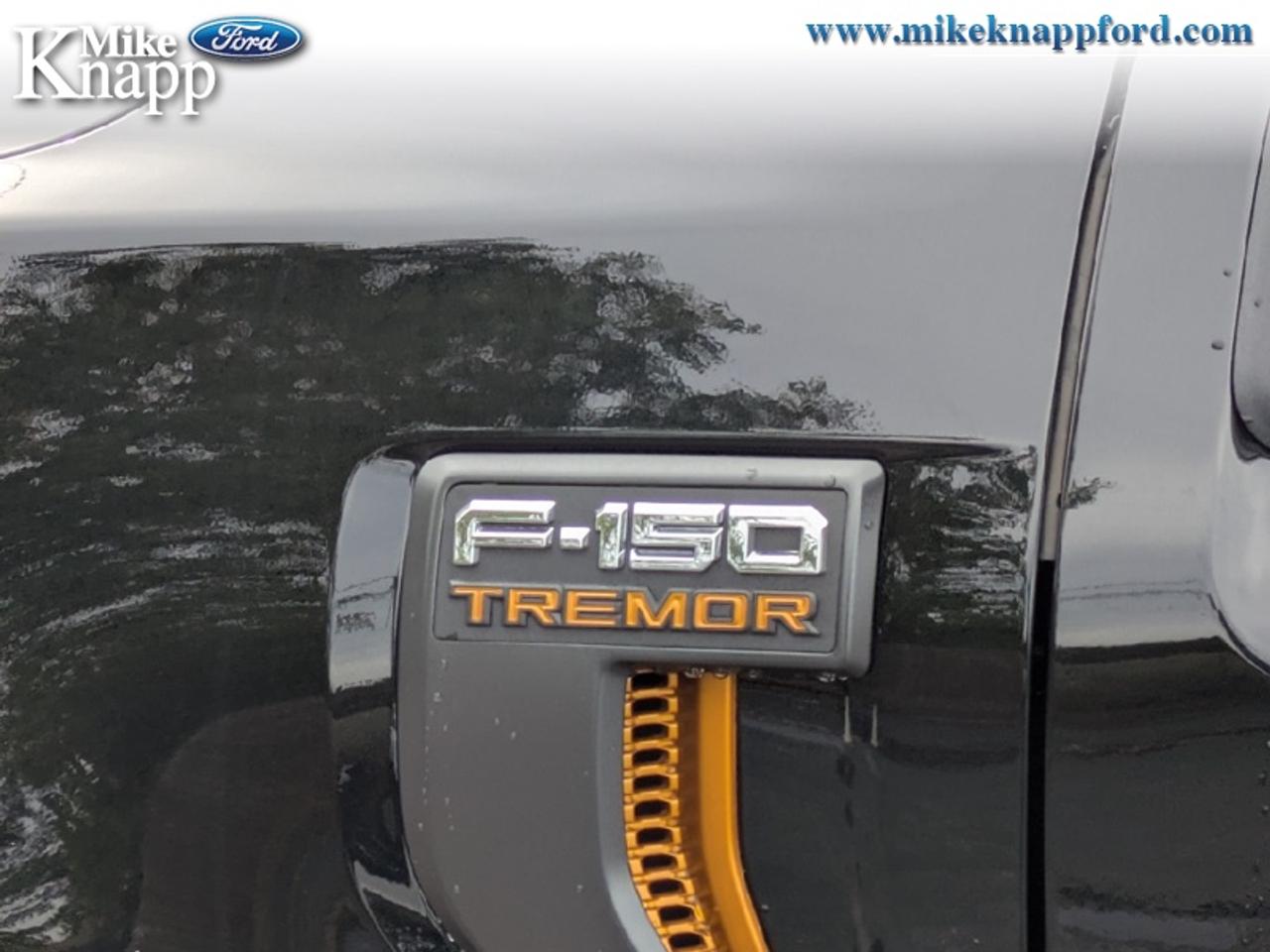2026 Ford F-150 Tremor Photo
