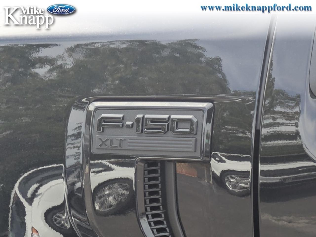 2026 Ford F-150 XLT Photo
