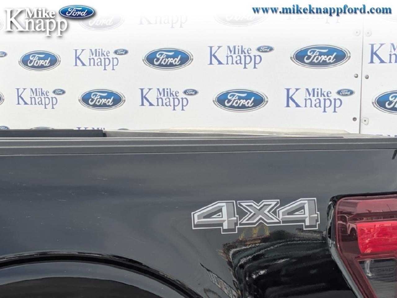 2026 Ford F-150 XLT Photo