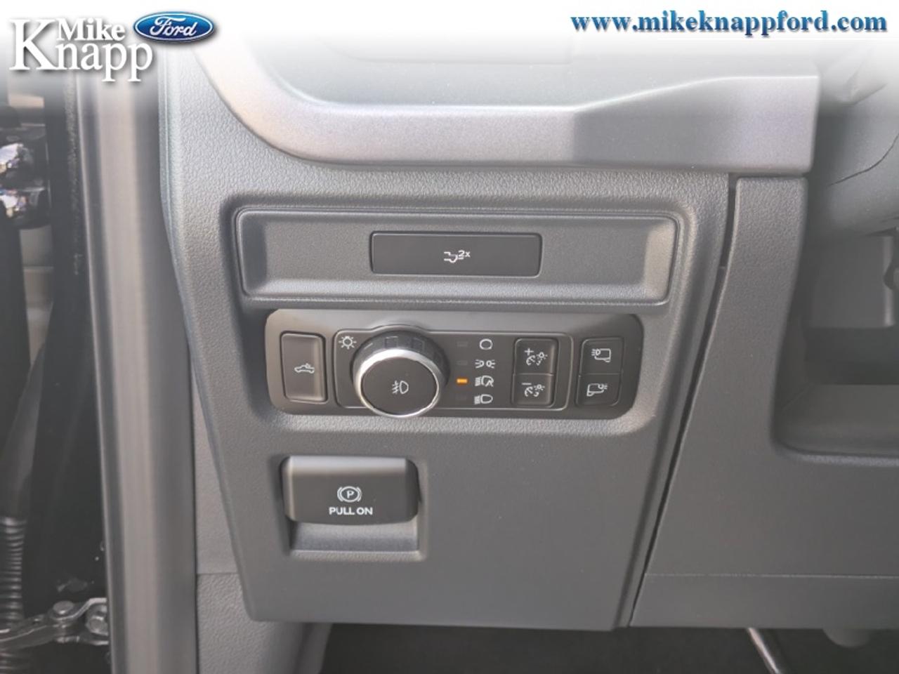 2026 Ford F-150 XLT Photo