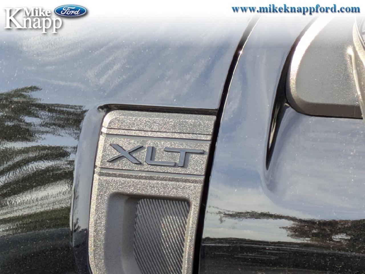 2026 Ford Maverick XLT Photo