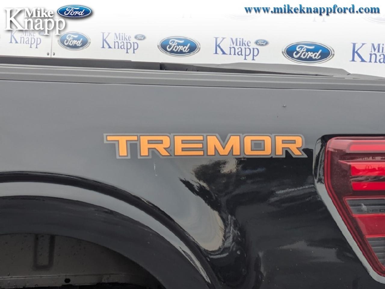 2026 Ford F-150 Tremor Photo