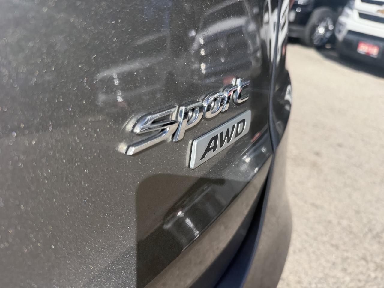 Image 13