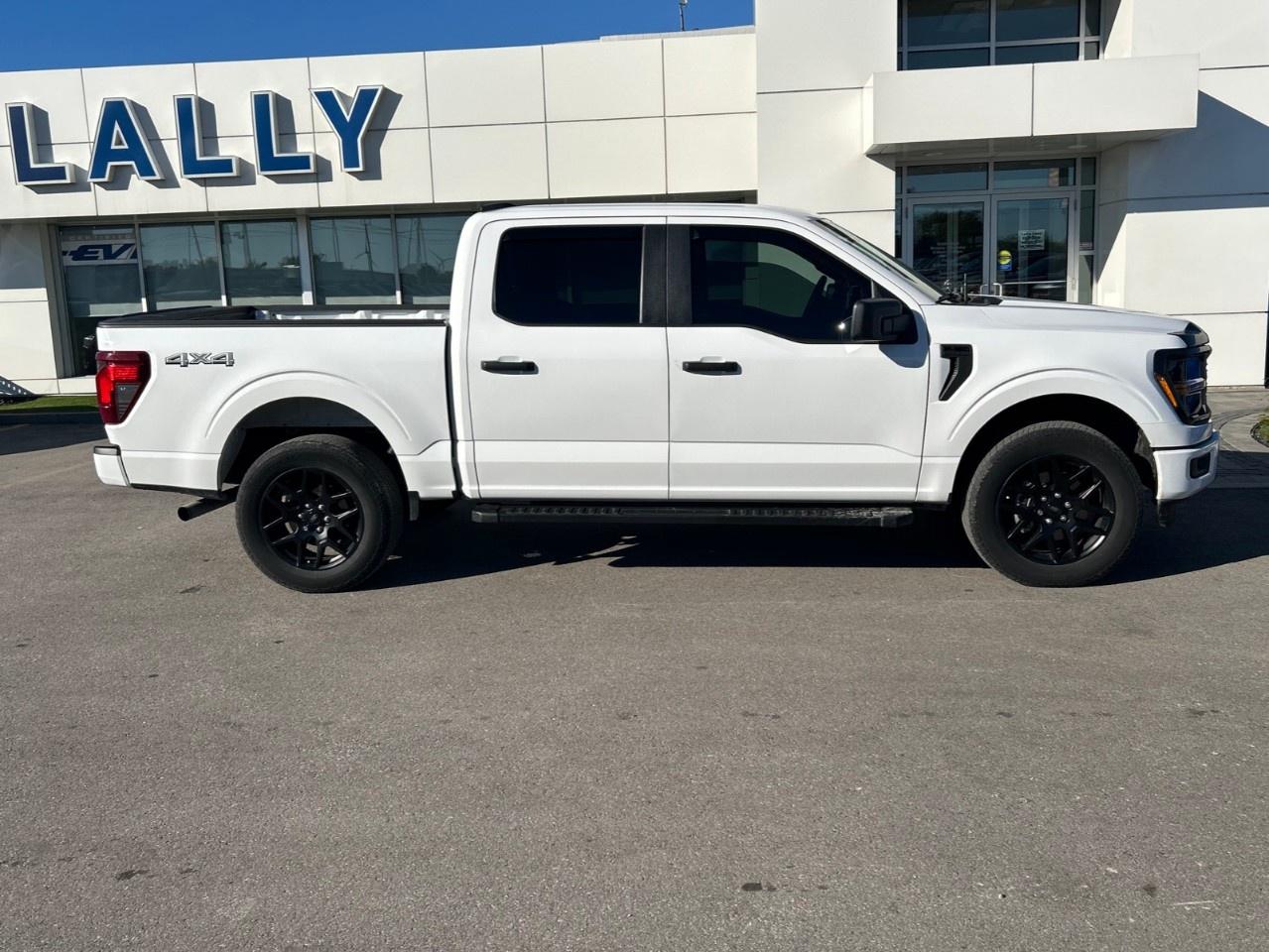 2024 Ford F-150 STX 4WD SuperCrew 5.5' Box Photo