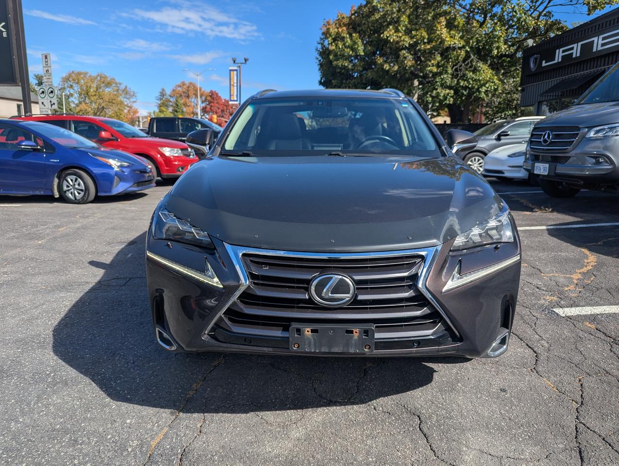 2015 Lexus NX 200t  Photo