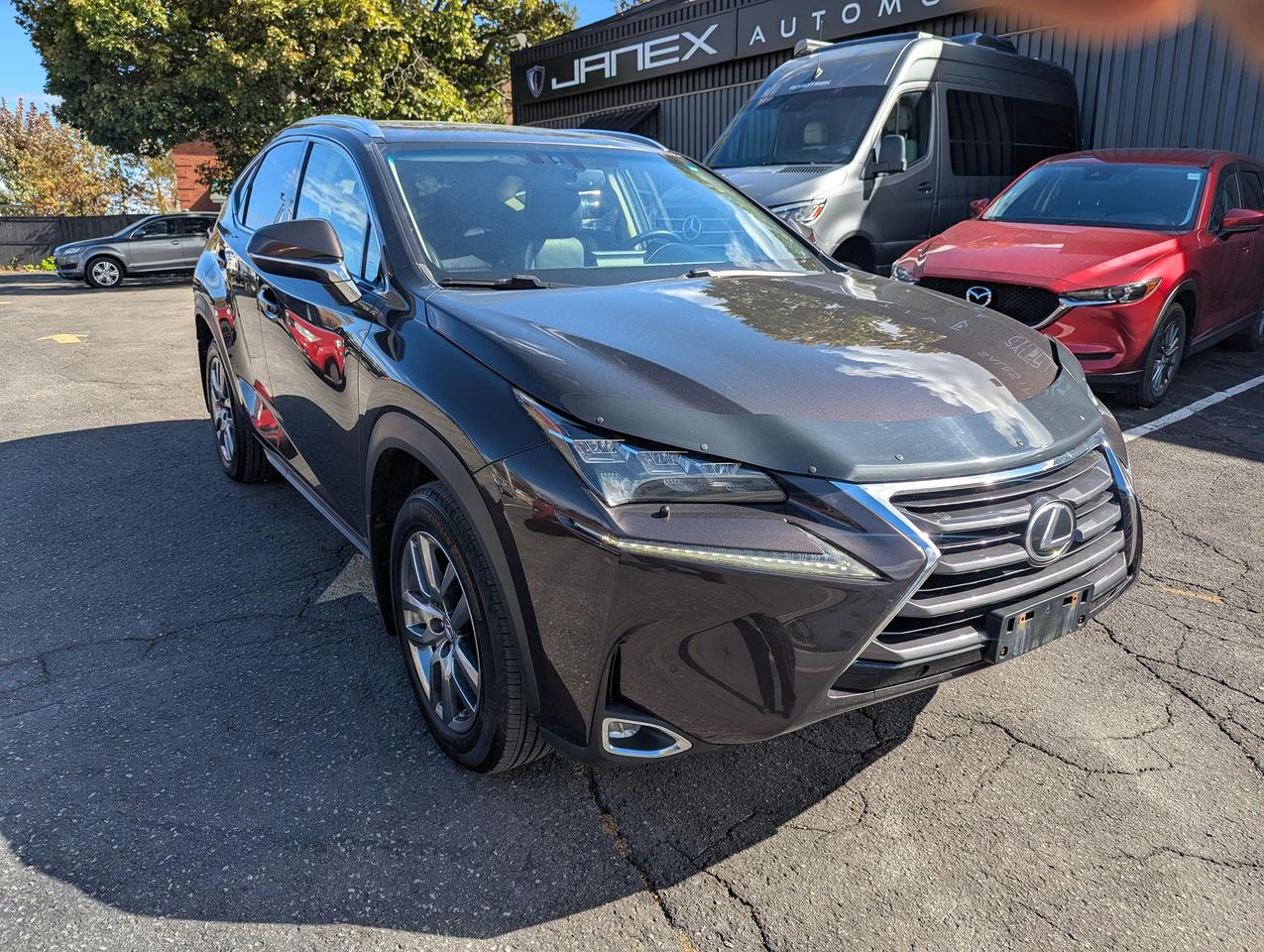 2015 Lexus NX 200t  Photo