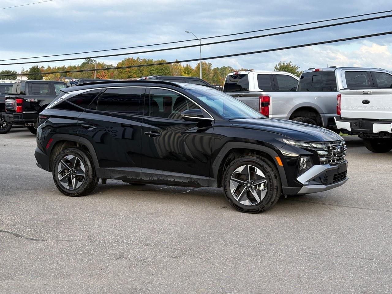 2025 Hyundai Tucson Preferred AWD w/Trend Pkg [TUCWDK2EPMTM] Photo