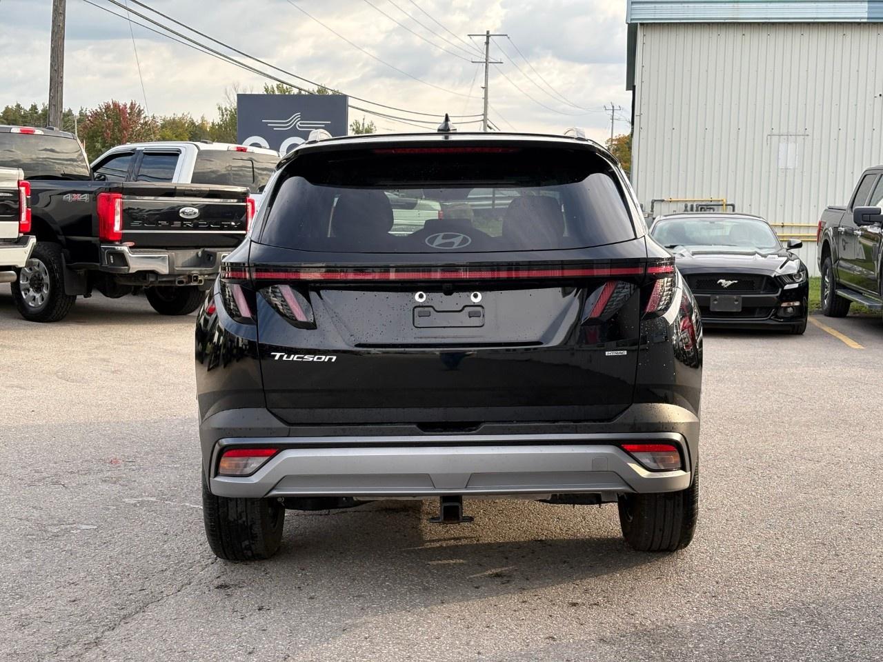 2025 Hyundai Tucson Preferred AWD w/Trend Pkg [TUCWDK2EPMTM] Photo