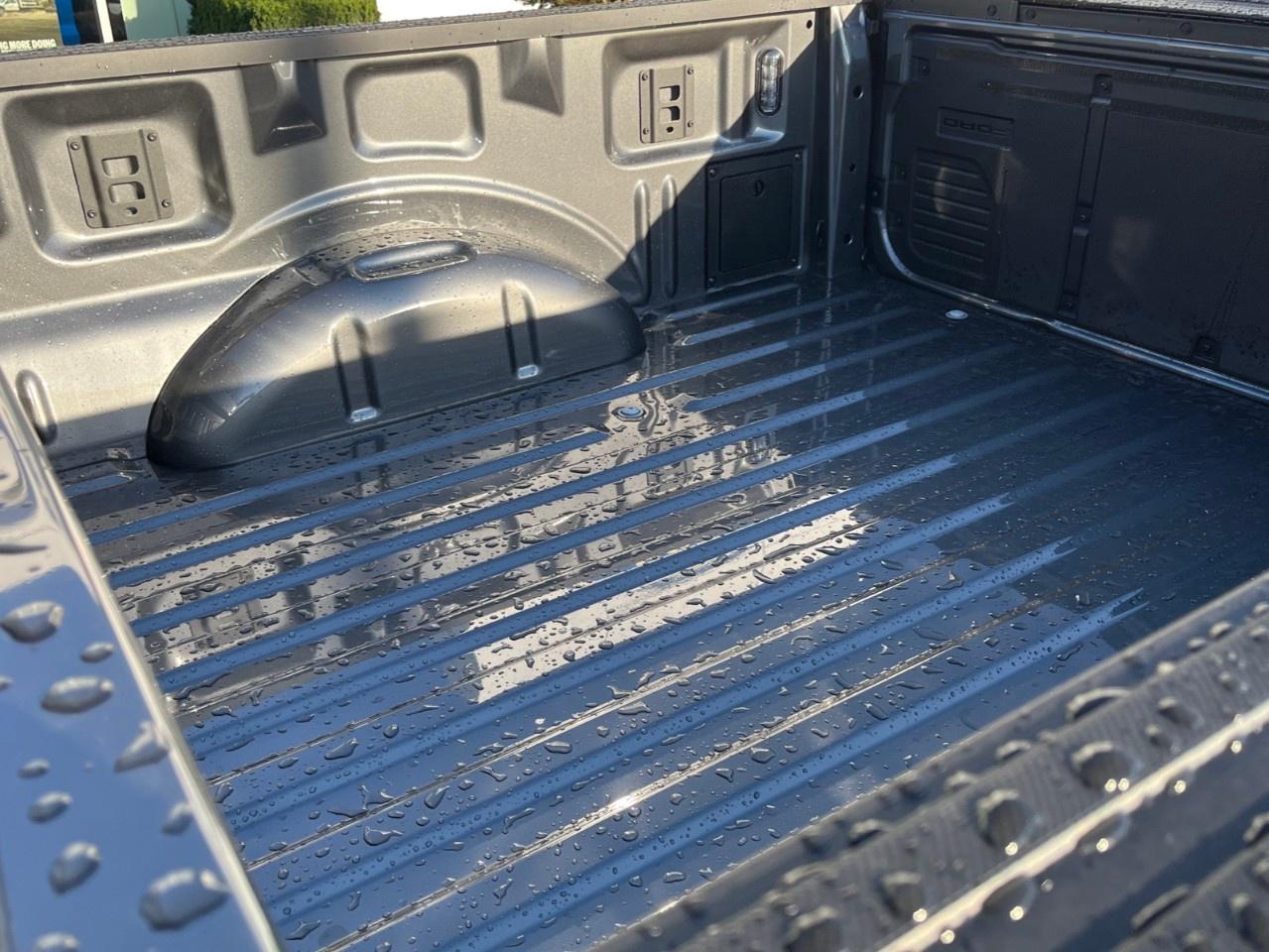 2026 Ford F-150 XLT 4WD SuperCrew 5.5' Box Photo