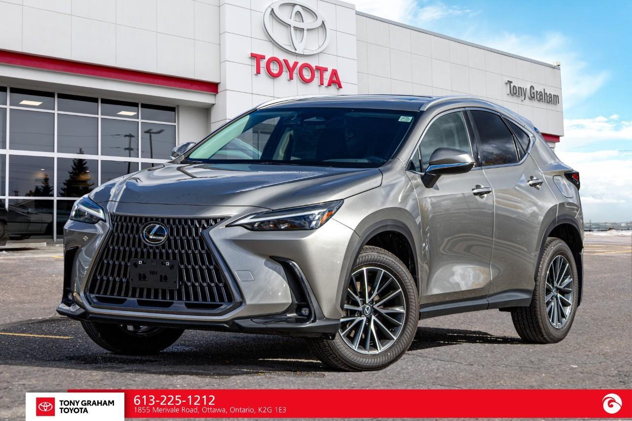 2026 Lexus NX 350h  Photo0