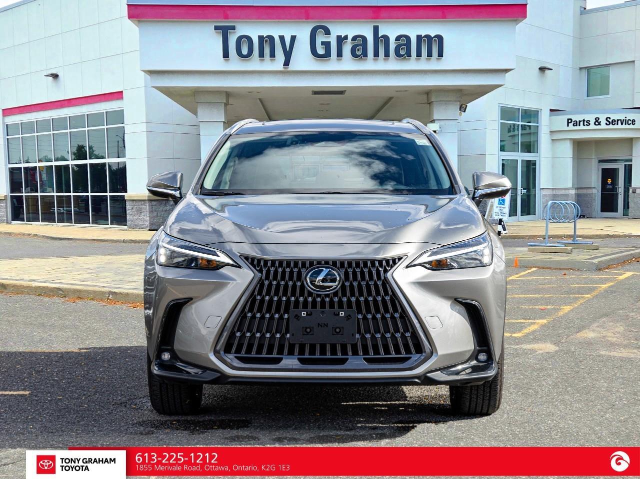 2026 Lexus NX 350h  Photo