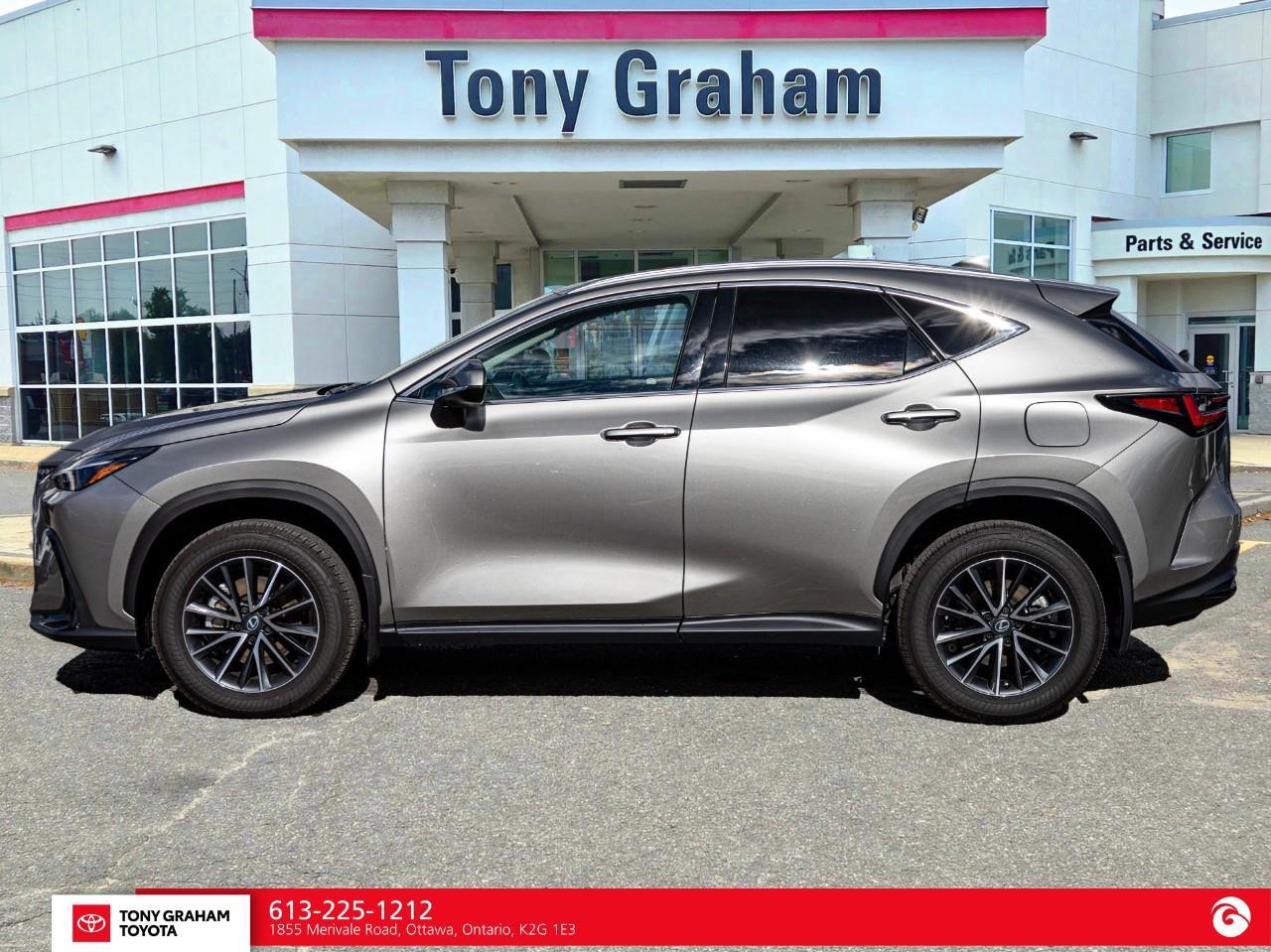 2026 Lexus NX 350h  Photo