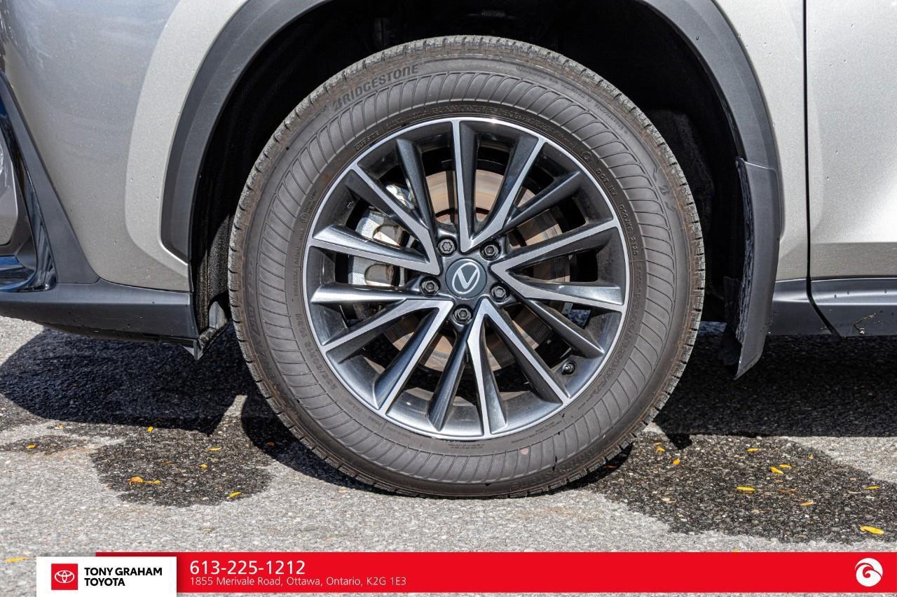 2026 Lexus NX 350h  Photo