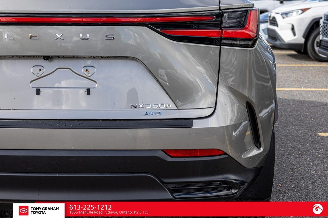 2026 Lexus NX 350h  Photo