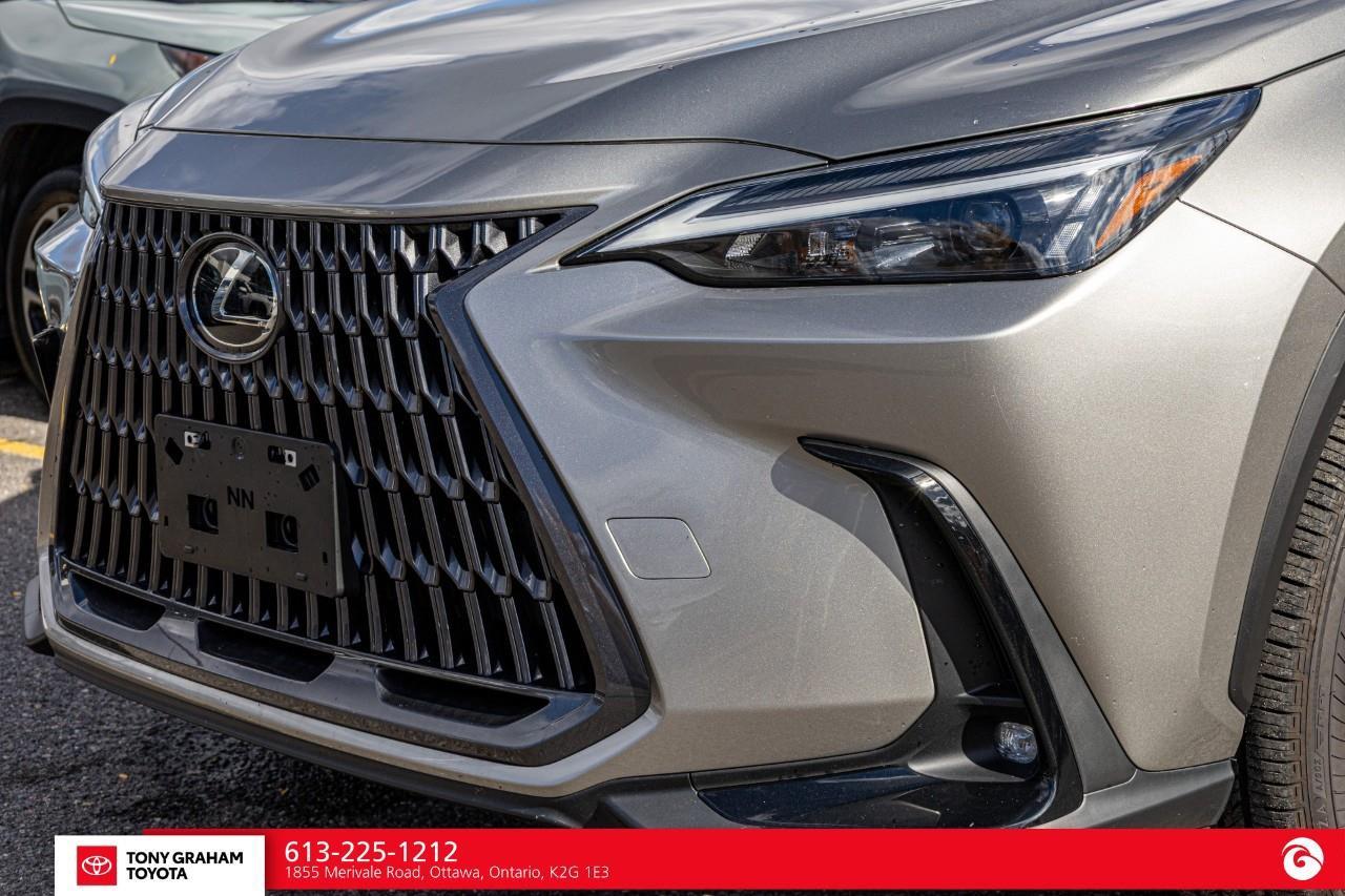 2026 Lexus NX 350h  Photo