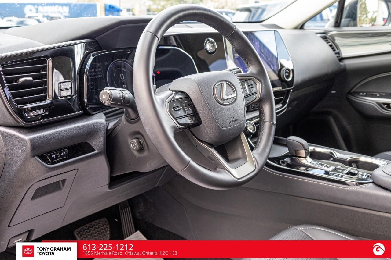 2026 Lexus NX 350h  Photo