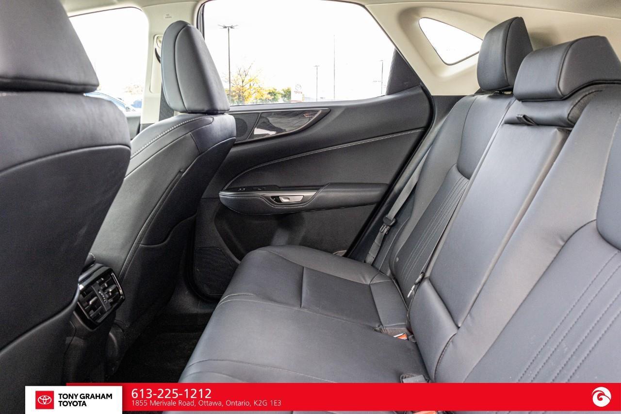 2026 Lexus NX 350h  Photo