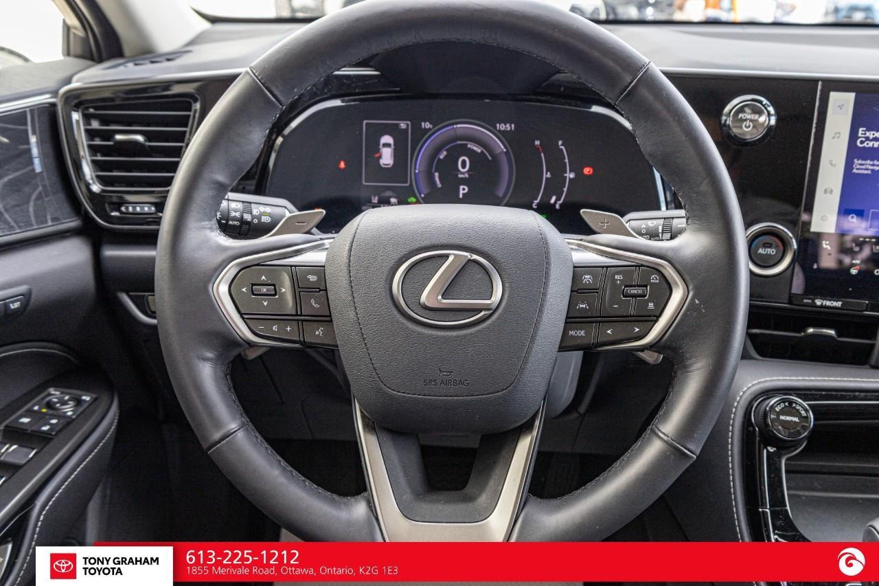 2026 Lexus NX 350h  Photo