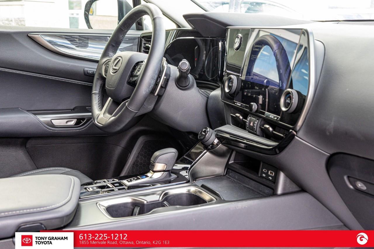2026 Lexus NX 350h  Photo