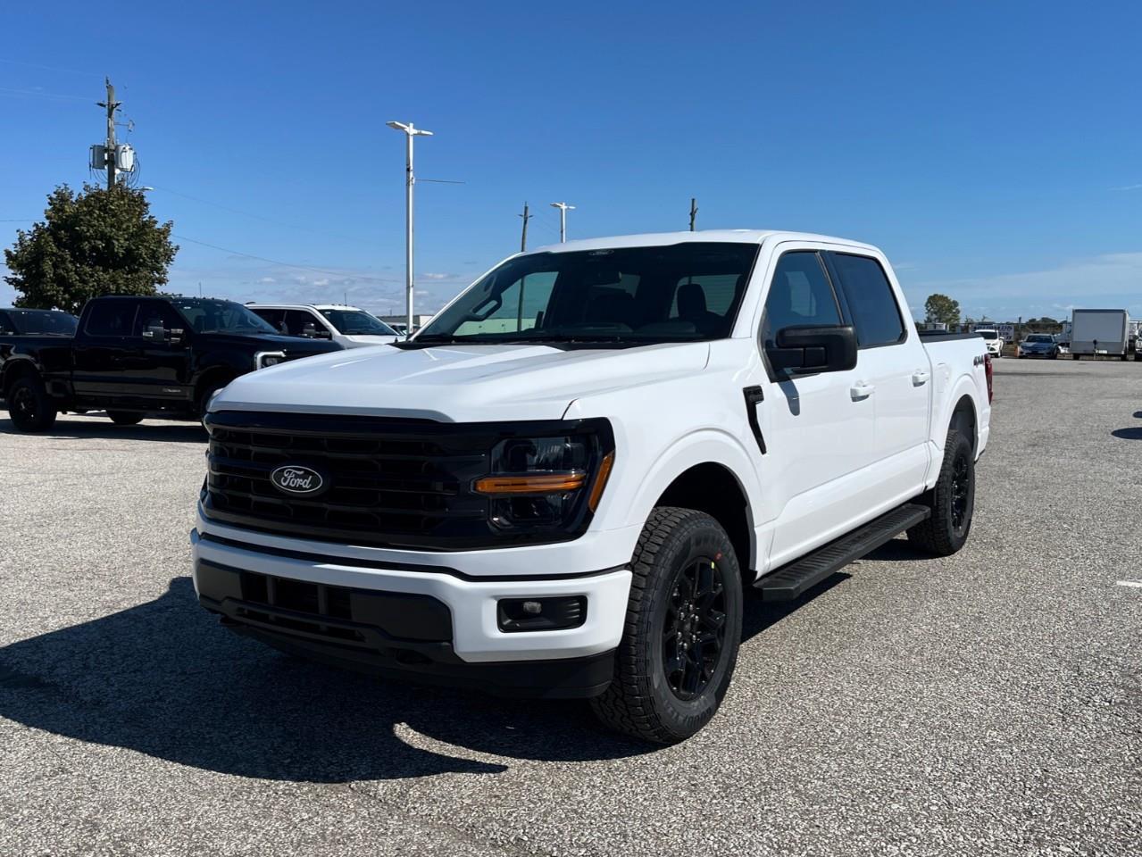 2026 Ford F-150 XLT Photo3
