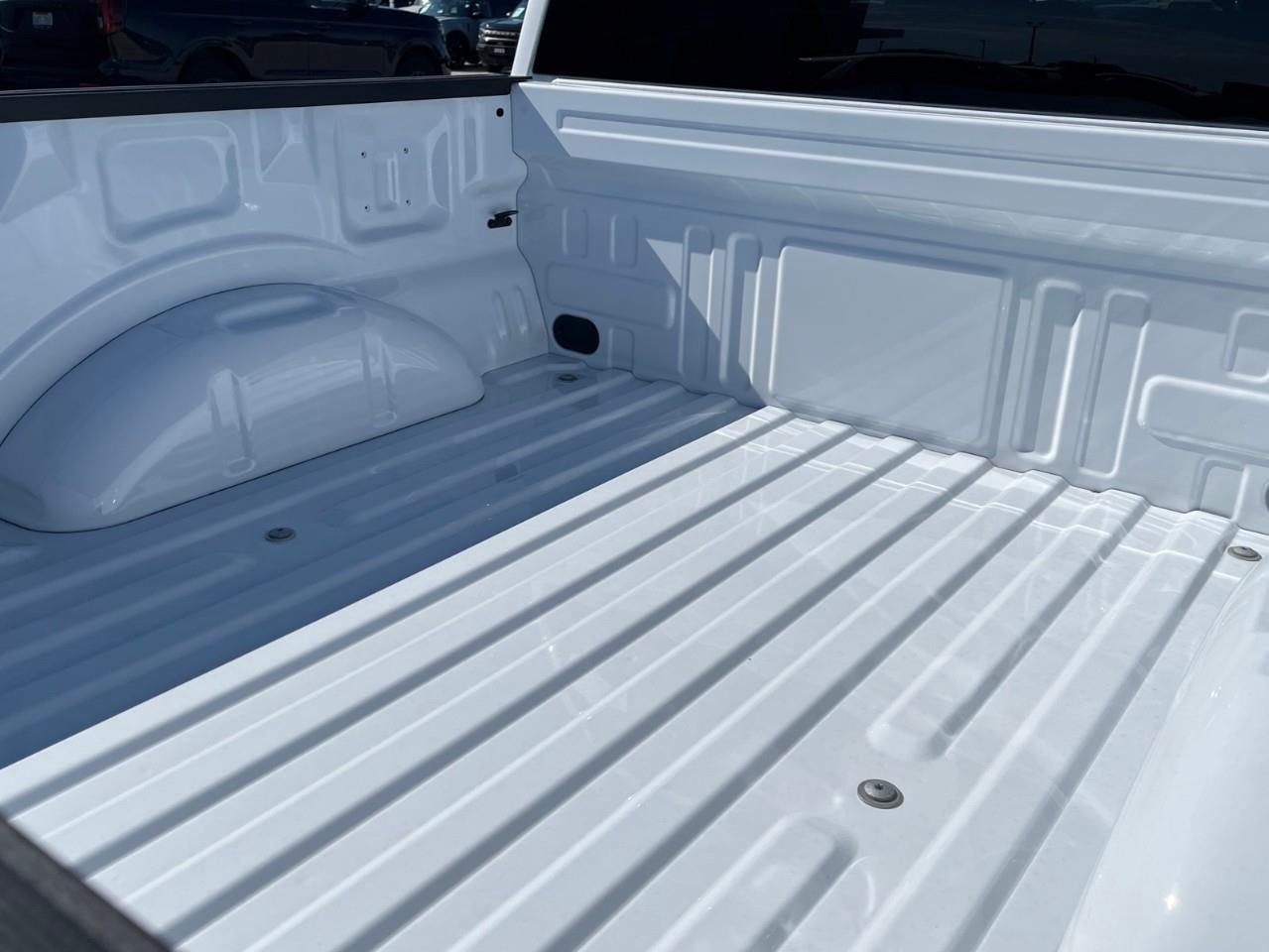 2026 Ford F-150 XLT Photo
