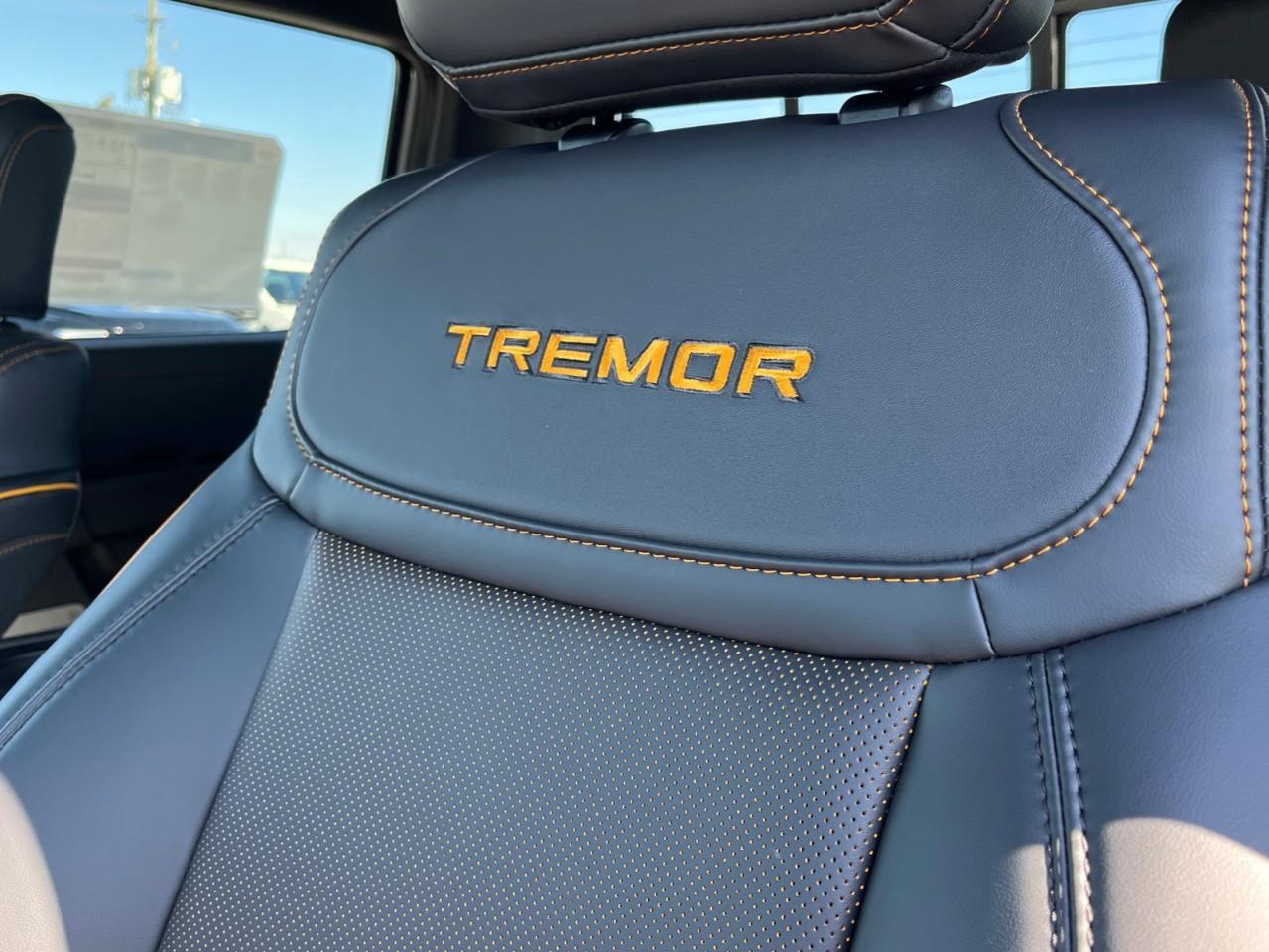 2026 Ford F-150 Tremor Photo