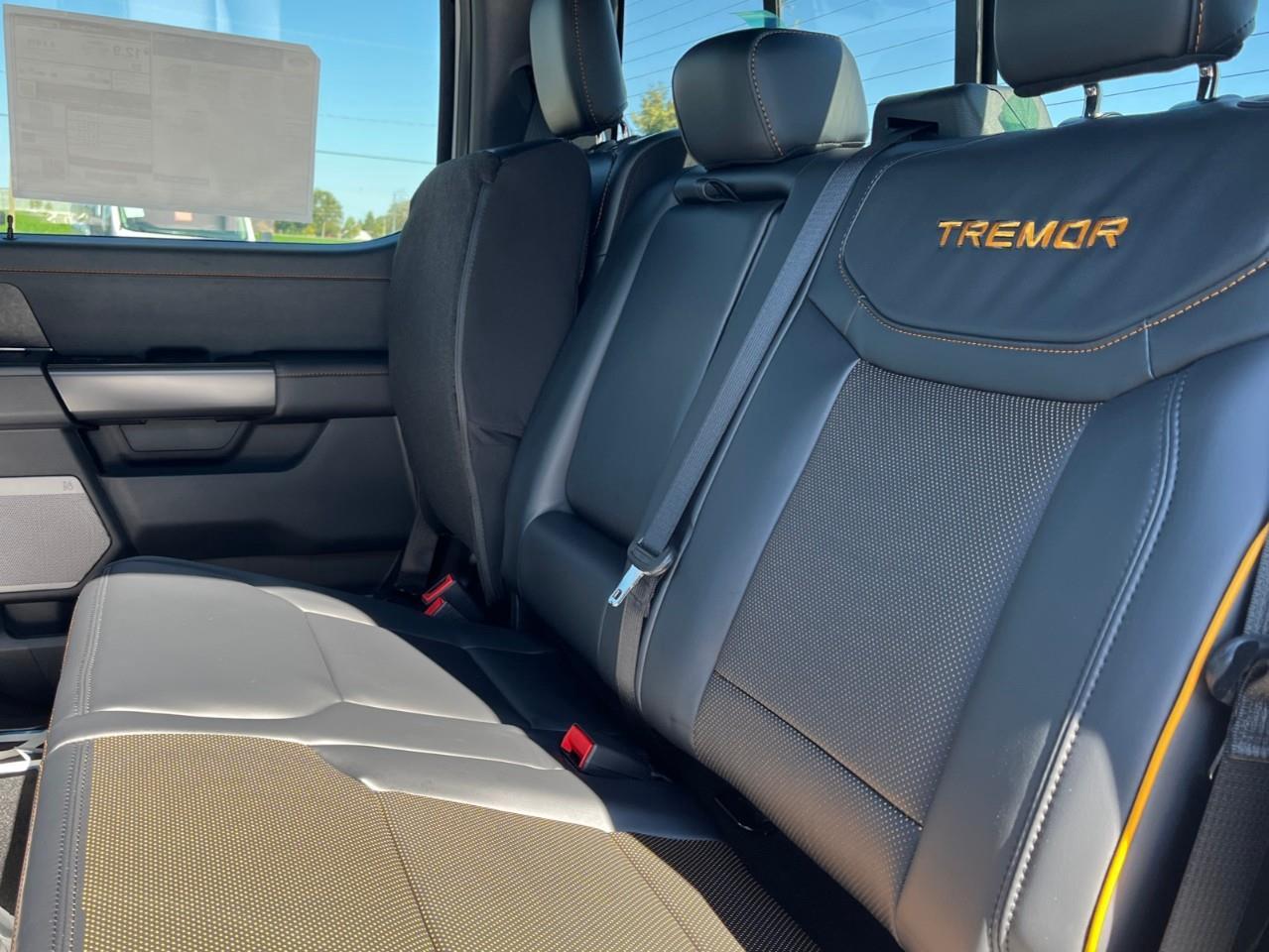 2026 Ford F-150 Tremor Photo