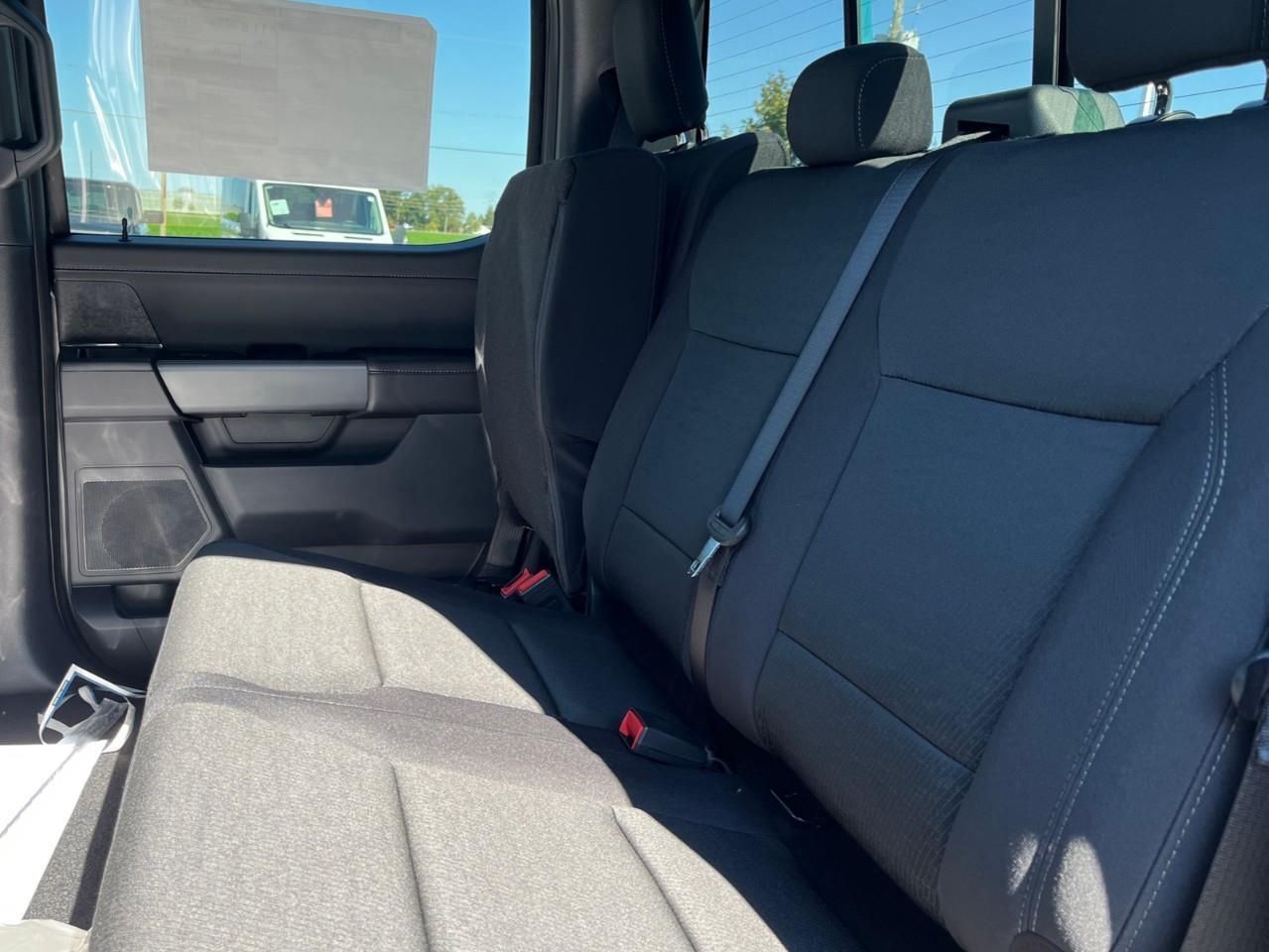 2026 Ford F-150 XLT Photo