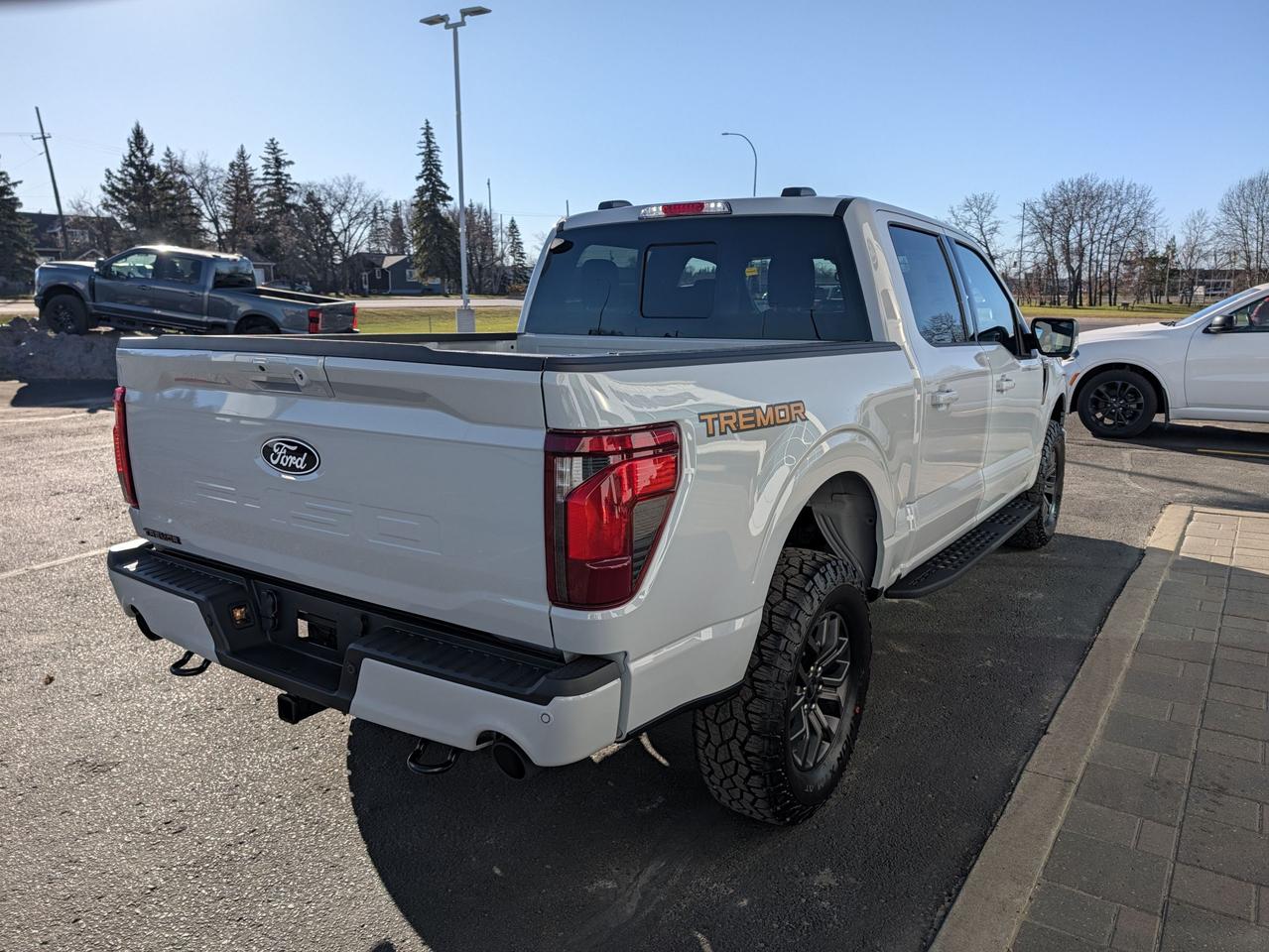 2026 Ford F-150 Tremor Photo4