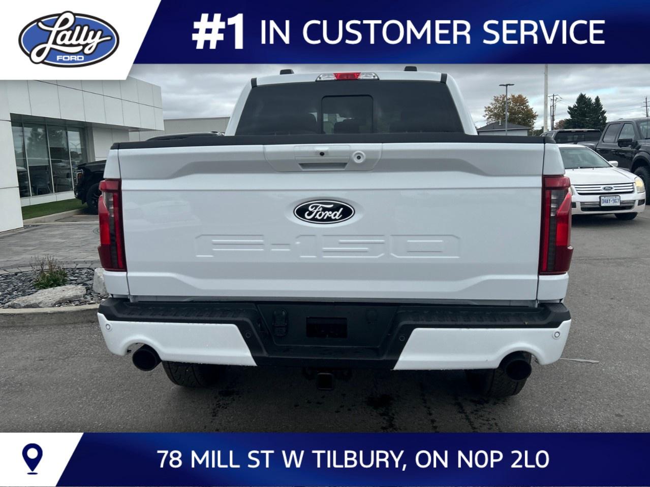 2026 Ford F-150 XLT 4WD SuperCrew 5.5' Box Photo