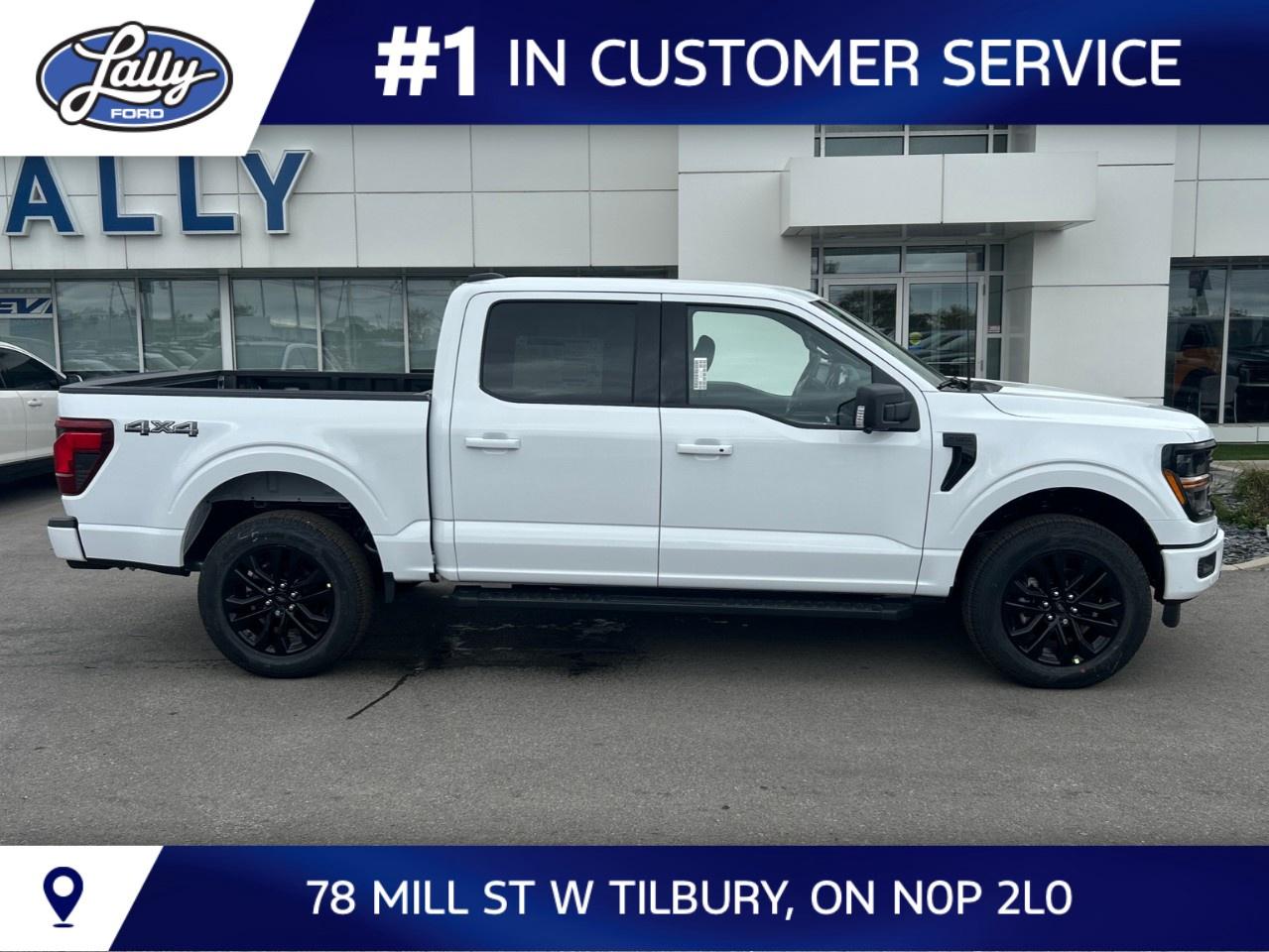 2026 Ford F-150 XLT 4WD SuperCrew 5.5' Box Photo5