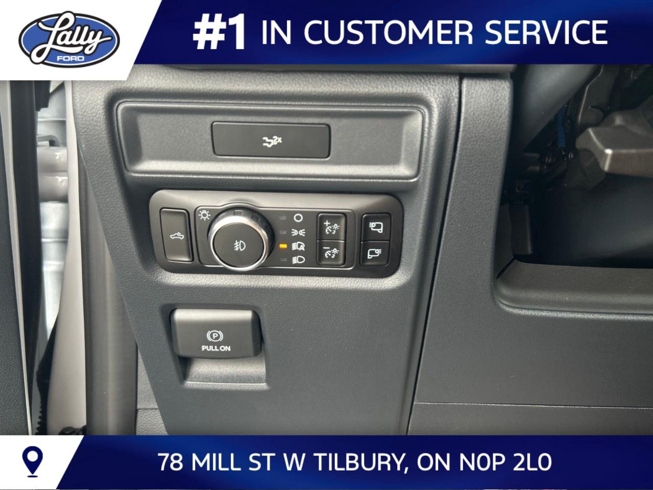 2026 Ford F-150 XLT 4WD SuperCrew 5.5' Box Photo