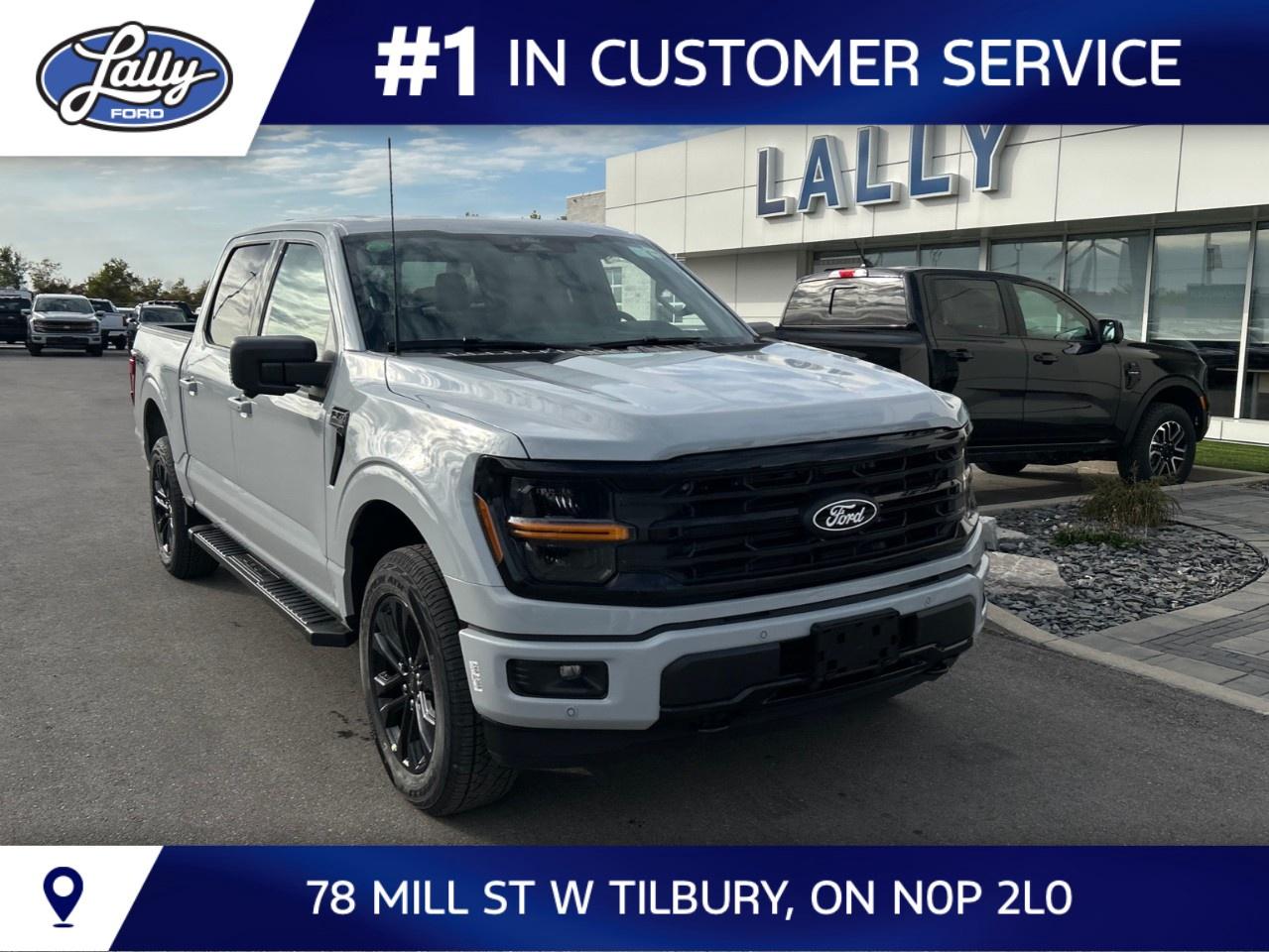 2026 Ford F-150 XLT 4WD SuperCrew 5.5' Box Photo
