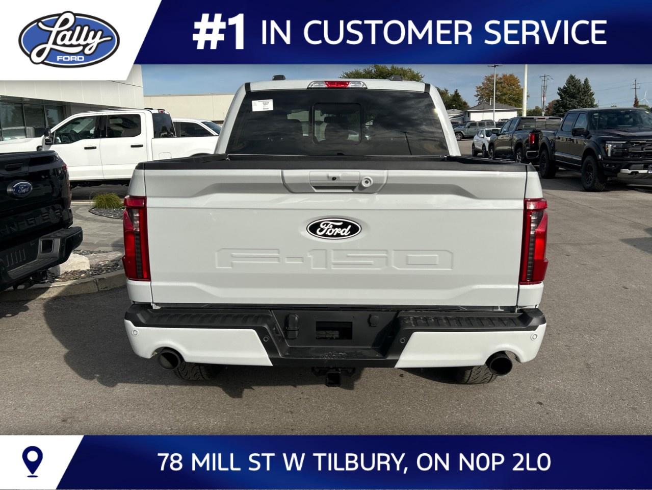 2026 Ford F-150 XLT 4WD SuperCrew 5.5' Box Photo
