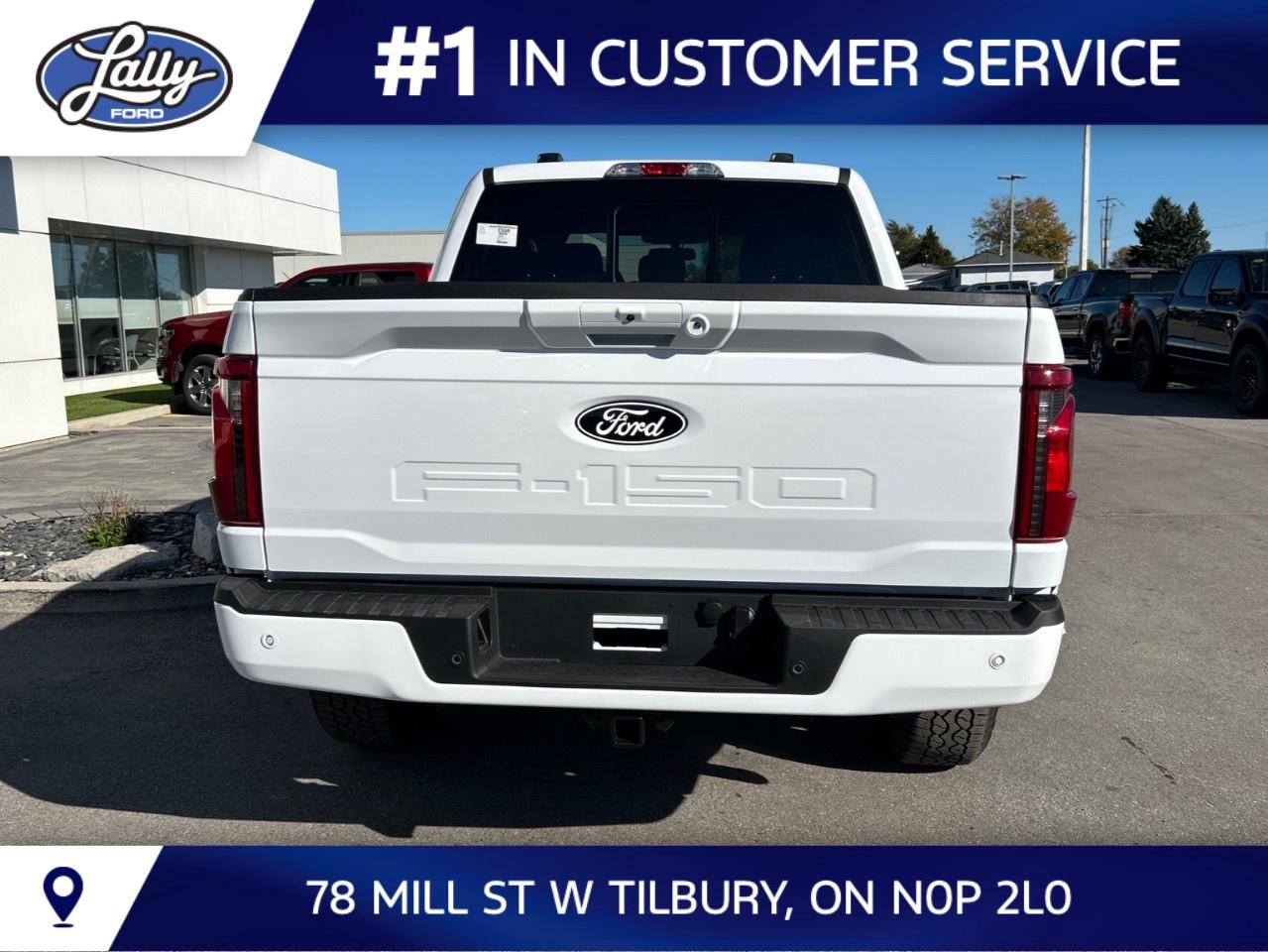 2026 Ford F-150 XLT 4WD SuperCrew 5.5' Box Photo