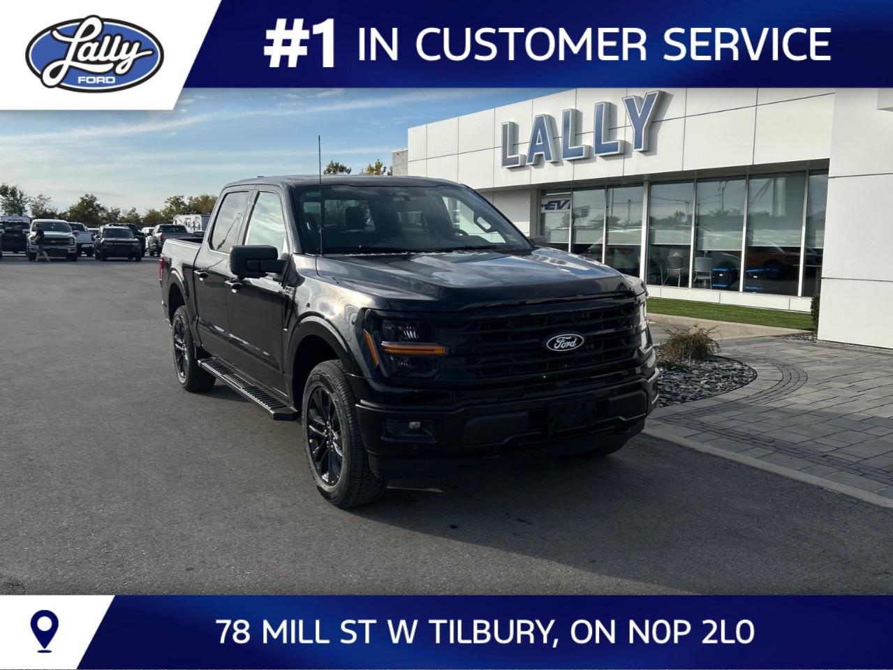 2026 Ford F-150 XLT 4WD SuperCrew 5.5' Box Photo