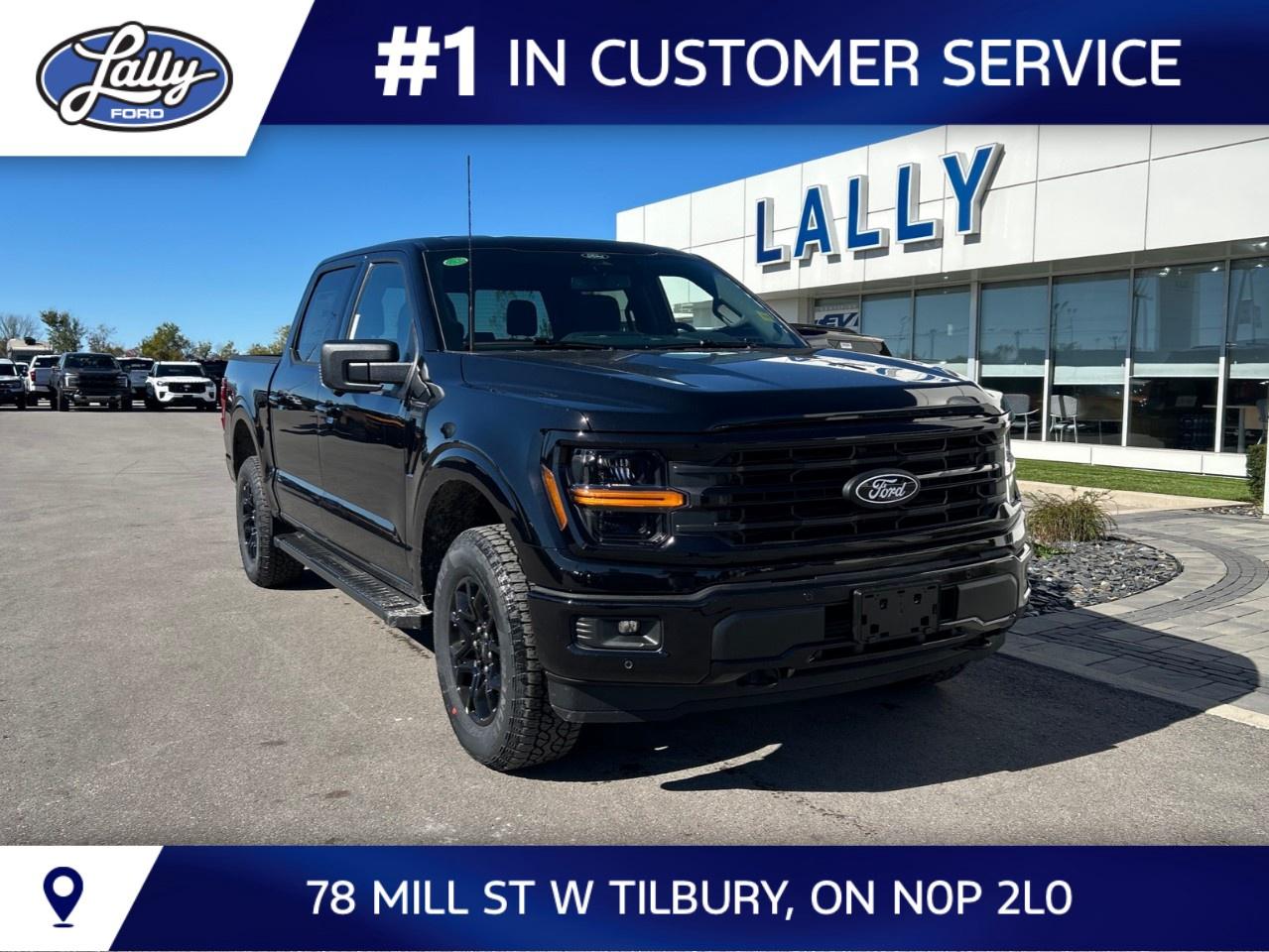 2026 Ford F-150 XLT 4WD SuperCrew 5.5' Box Photo0
