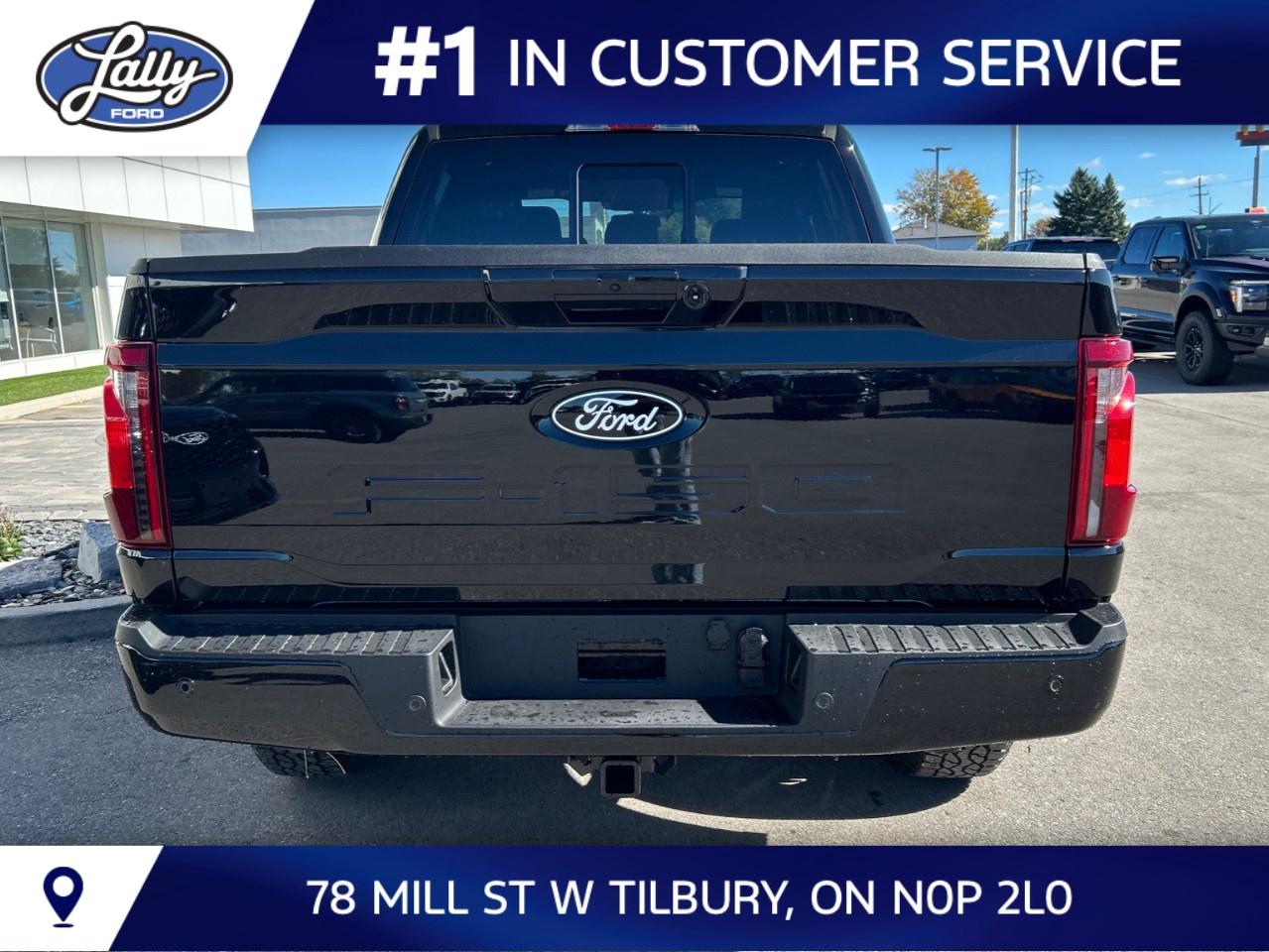 2026 Ford F-150 XLT 4WD SuperCrew 5.5' Box Photo