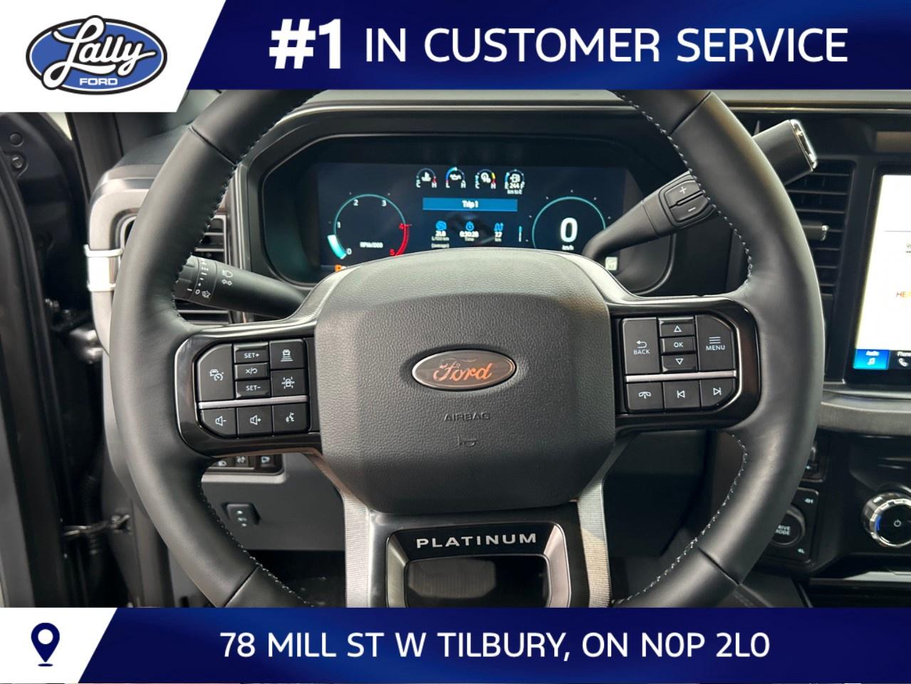 2027 Ford F-250 Super Duty SRW PLATINUM 4WD CREW CAB 6.75' BOX Photo