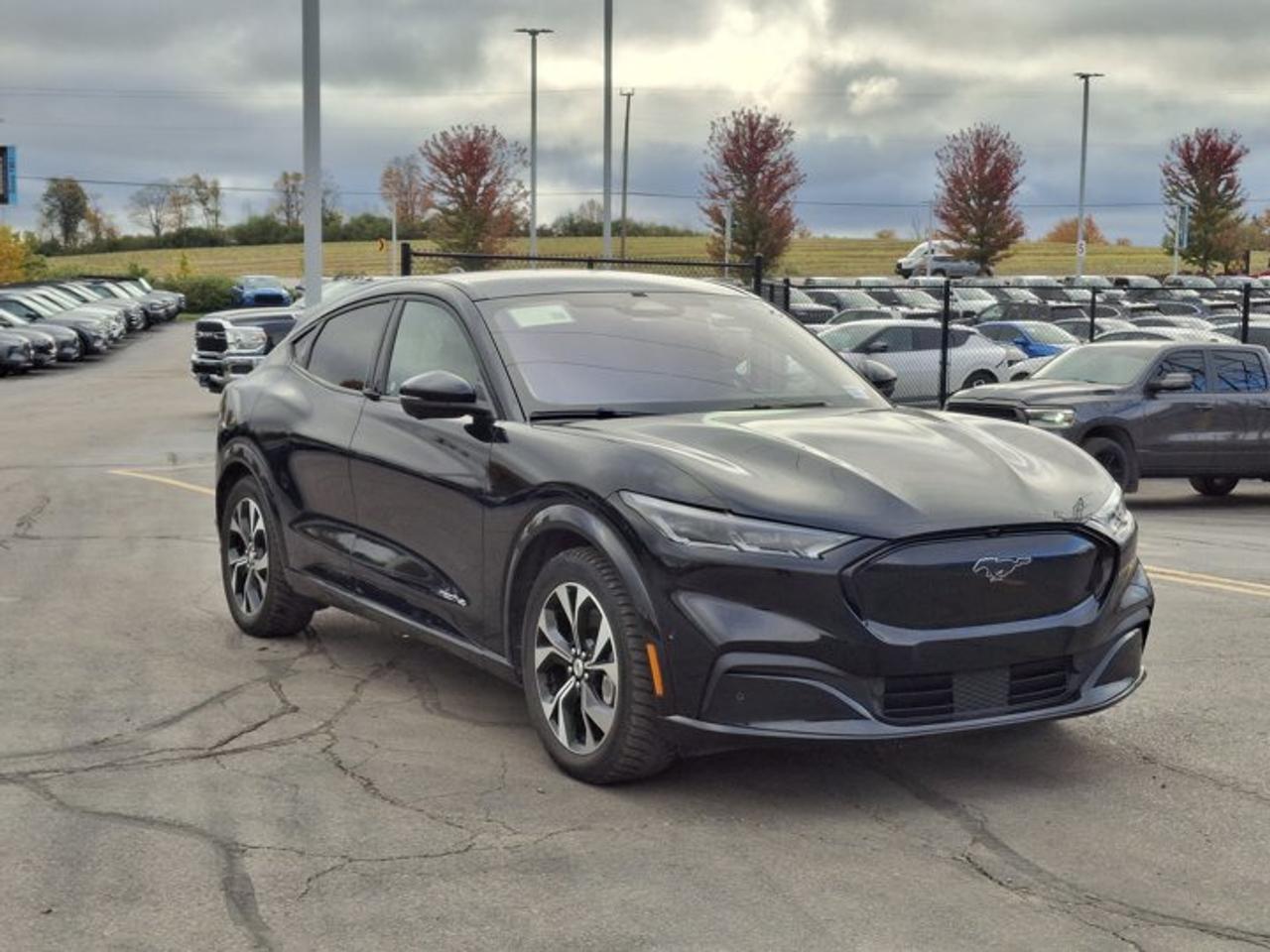 2023 Ford Mustang Mach-E Premium AWD | Leather | Glass Roof | Power + Heated Seats | Heated Wheel | CarPlay + Android & More! Photo