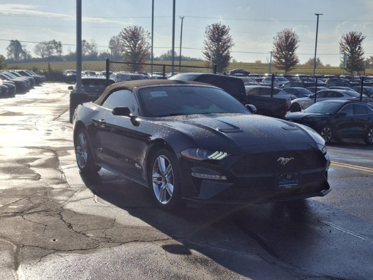 2020 Ford Mustang EcoBoost Premium | Leather | Active Performance Exhaust | Adaptive Cruise | Nav | Htd Seats & More ! Photo