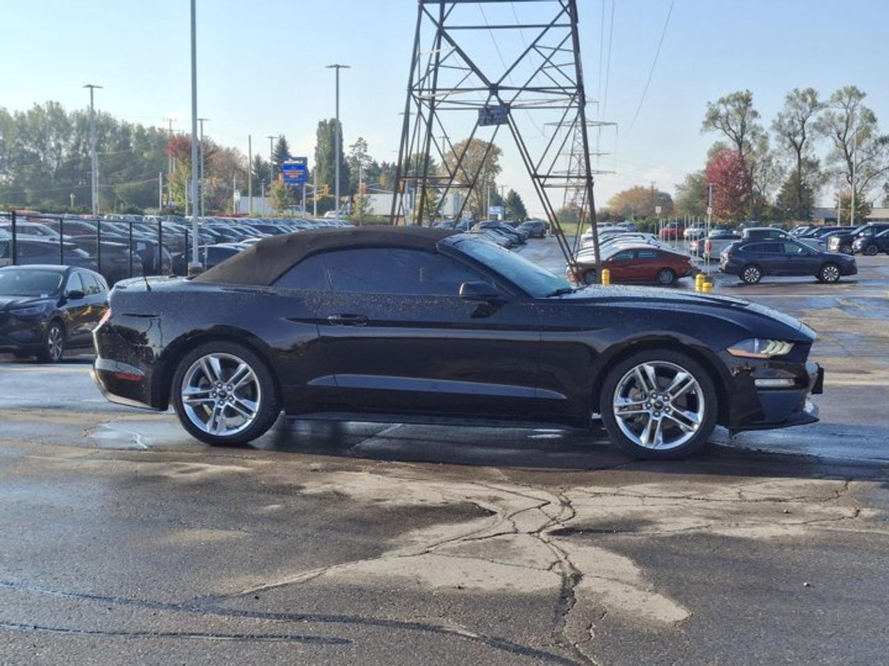 2020 Ford Mustang EcoBoost Premium | Leather | Active Performance Exhaust | Adaptive Cruise | Nav | Htd Seats & More ! Photo