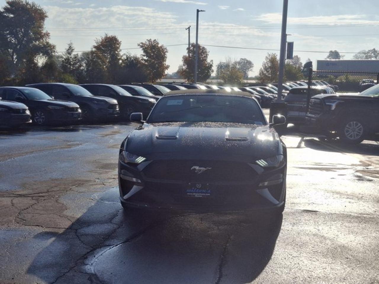 2020 Ford Mustang EcoBoost Premium | Leather | Active Performance Exhaust | Adaptive Cruise | Nav | Htd Seats & More ! Photo