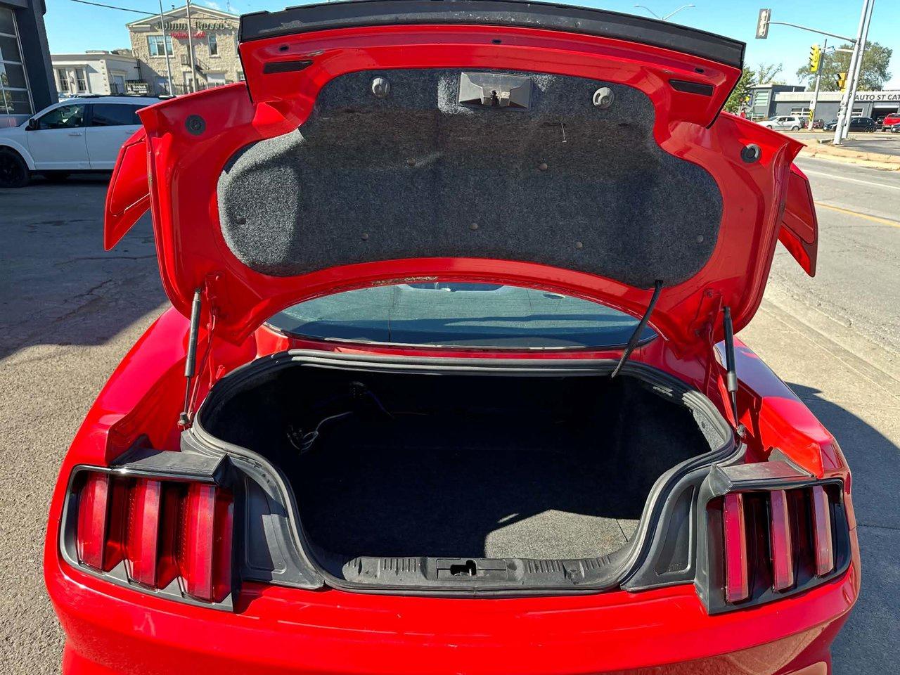 2015 Ford Mustang V6 Photo