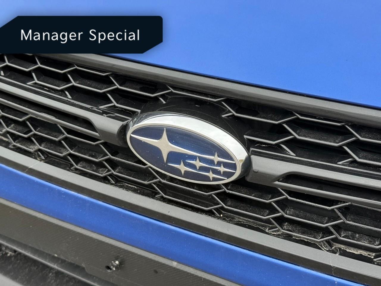 2019 Subaru WRX STI Manual Photo